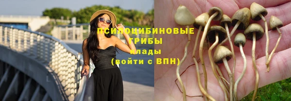 скорость Мегион