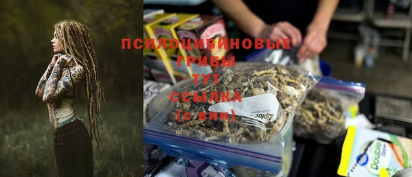 ГАЛЛЮЦИНОГЕННЫЕ ГРИБЫ Медногорск