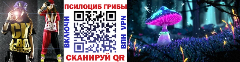 Псилоцибиновые грибы ЛСД  Купить  Мещовск 